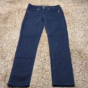 American Eagle Skinny Jeans Women 4 Dark Indigo Blue Mid Rise Stretch Denim